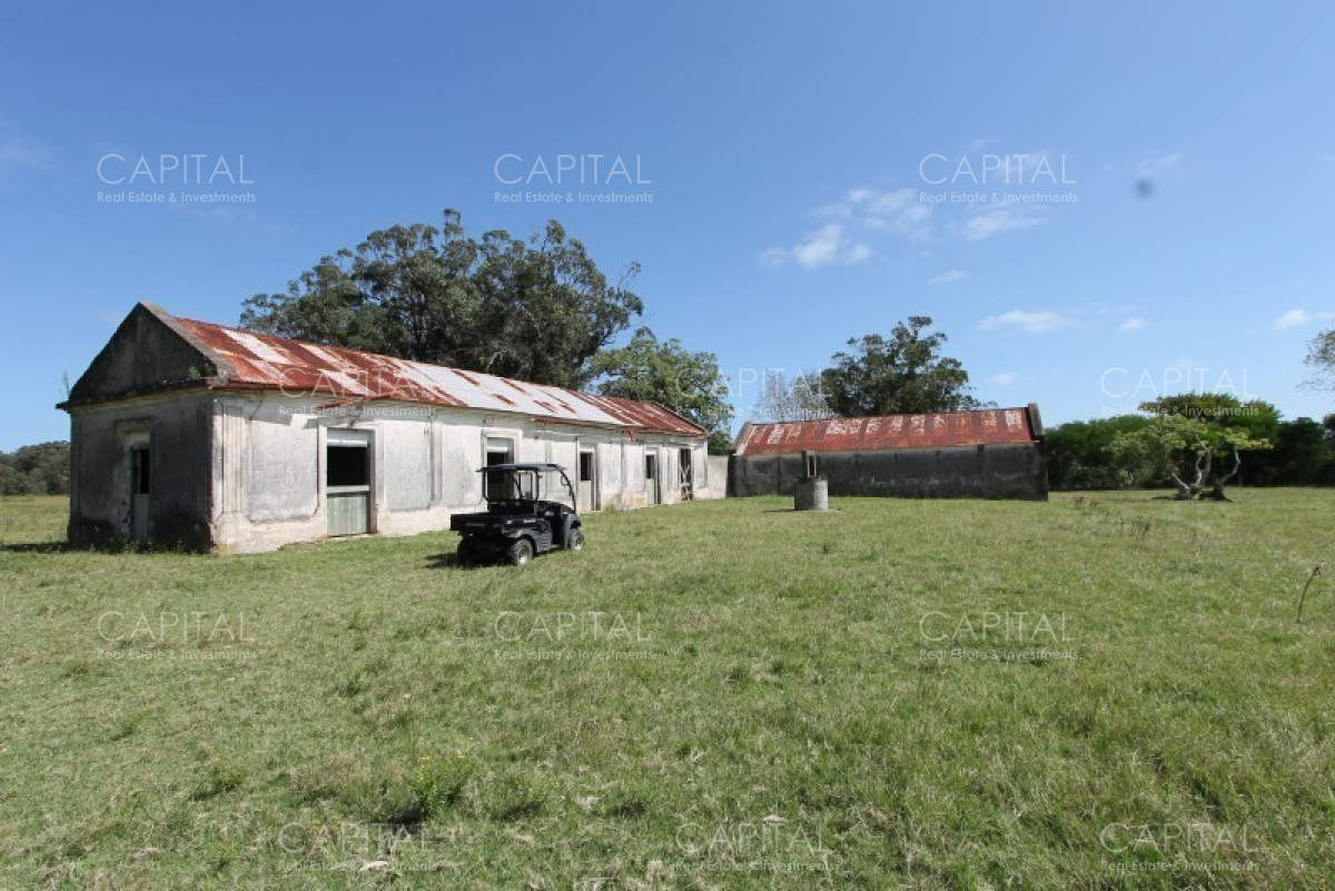 Chacra ID.36637 - Excepcional Chacra 12 HAS en Narbona