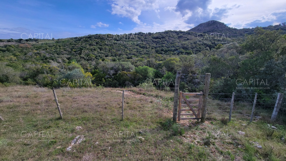 Chacra ID.35105 - Chacra en venta, Sierras de Maldonado - Uruguay