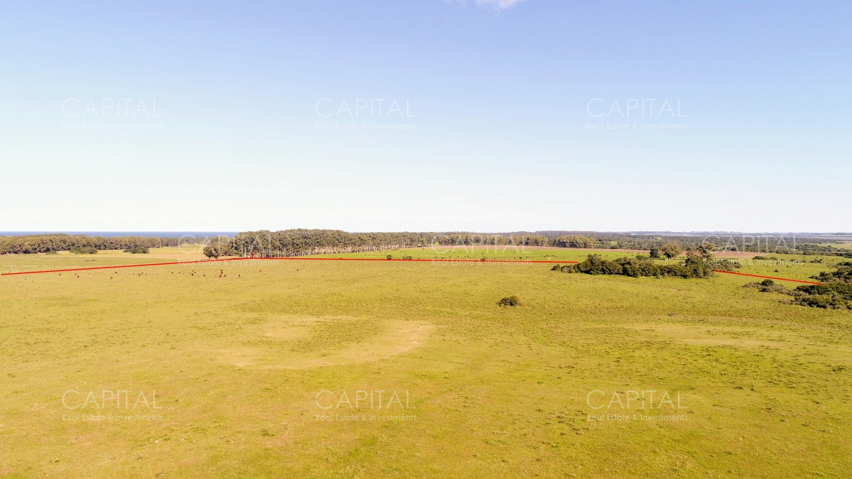 Chacra ID.29940 - Chacra en El Caracol - Garzon 108 Has, en venta