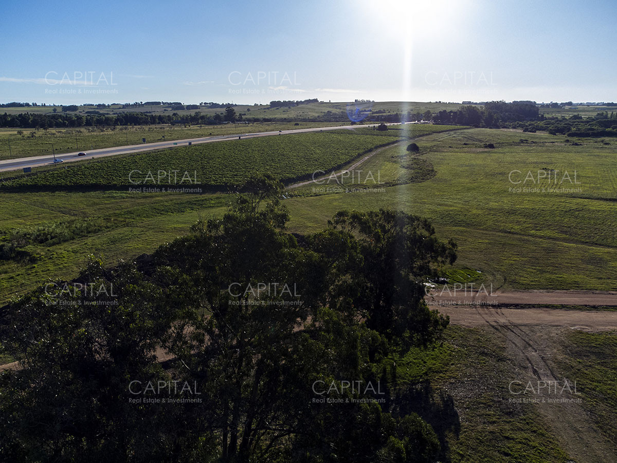 Chacra ID.37799 - CHACRAS Vilaró 