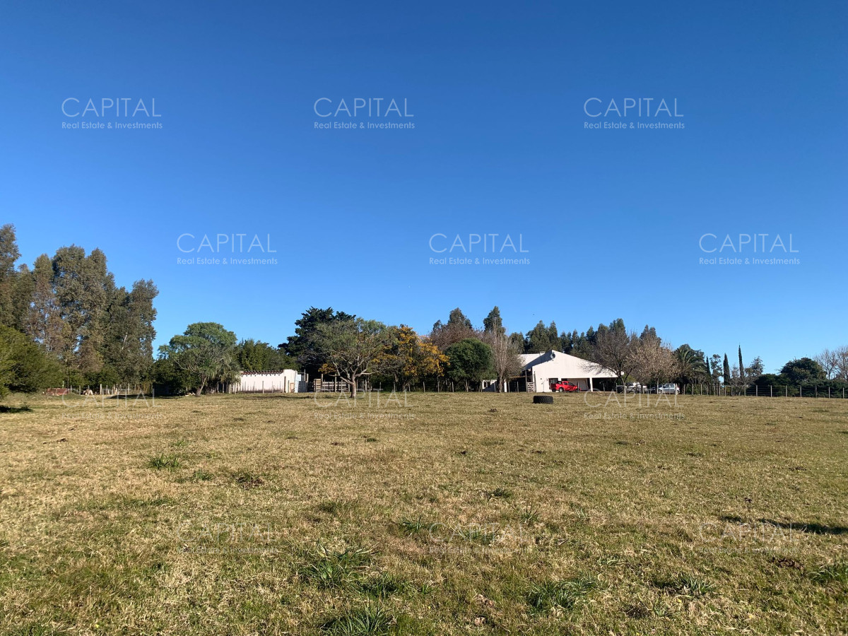 Chacra ID.38532 - Chacra 5 has próxima a San Carlos 