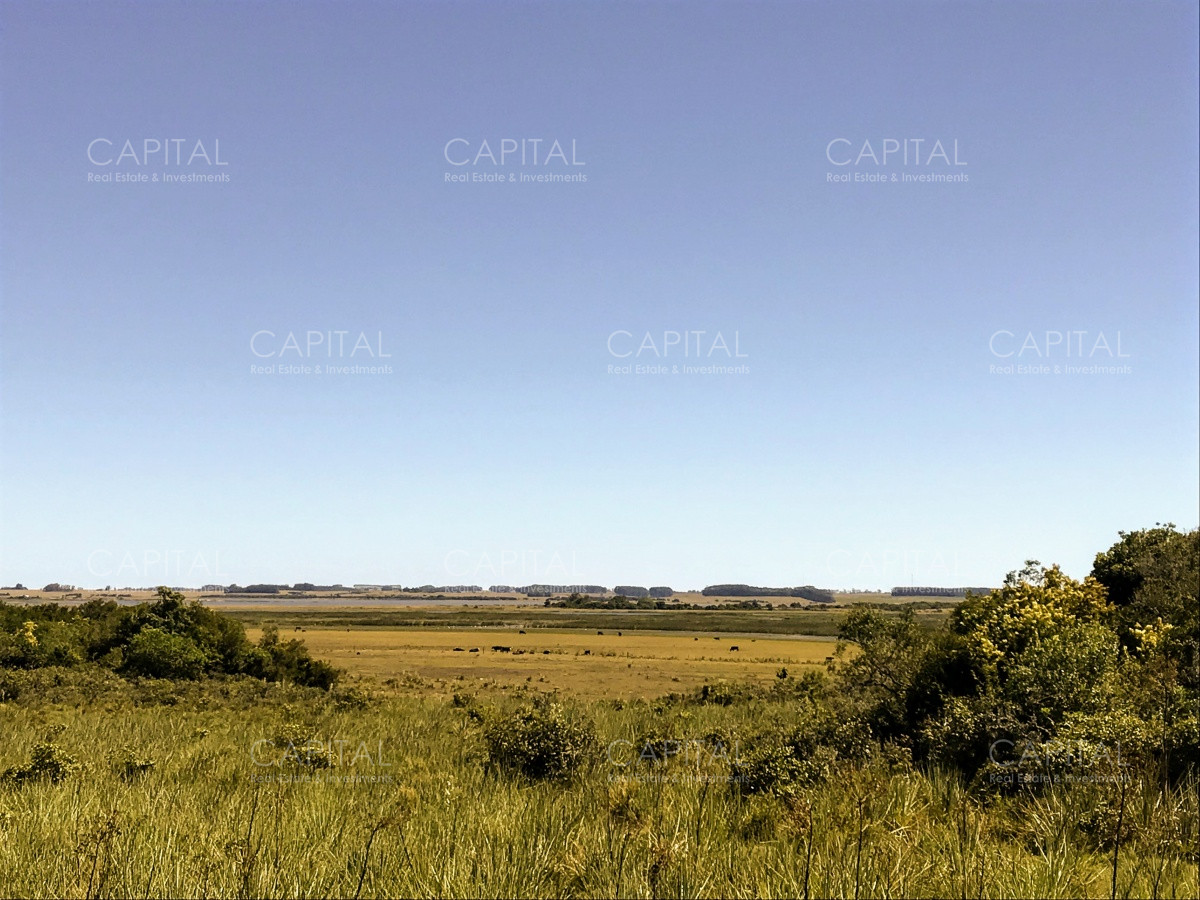 Chacra ID.29940 - Chacra en El Caracol - Garzon 108 Has, en venta