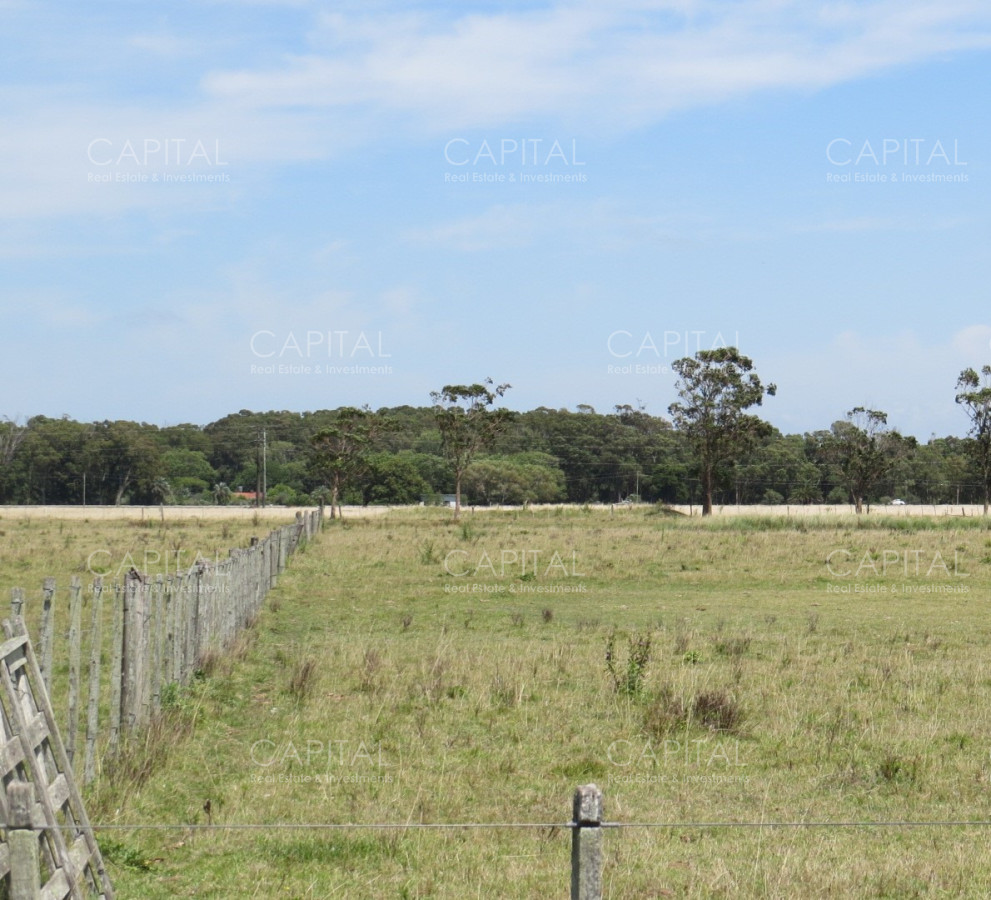 Chacra ID.39479 - Chacra de 5 has zona club de Polo - La Paloma 