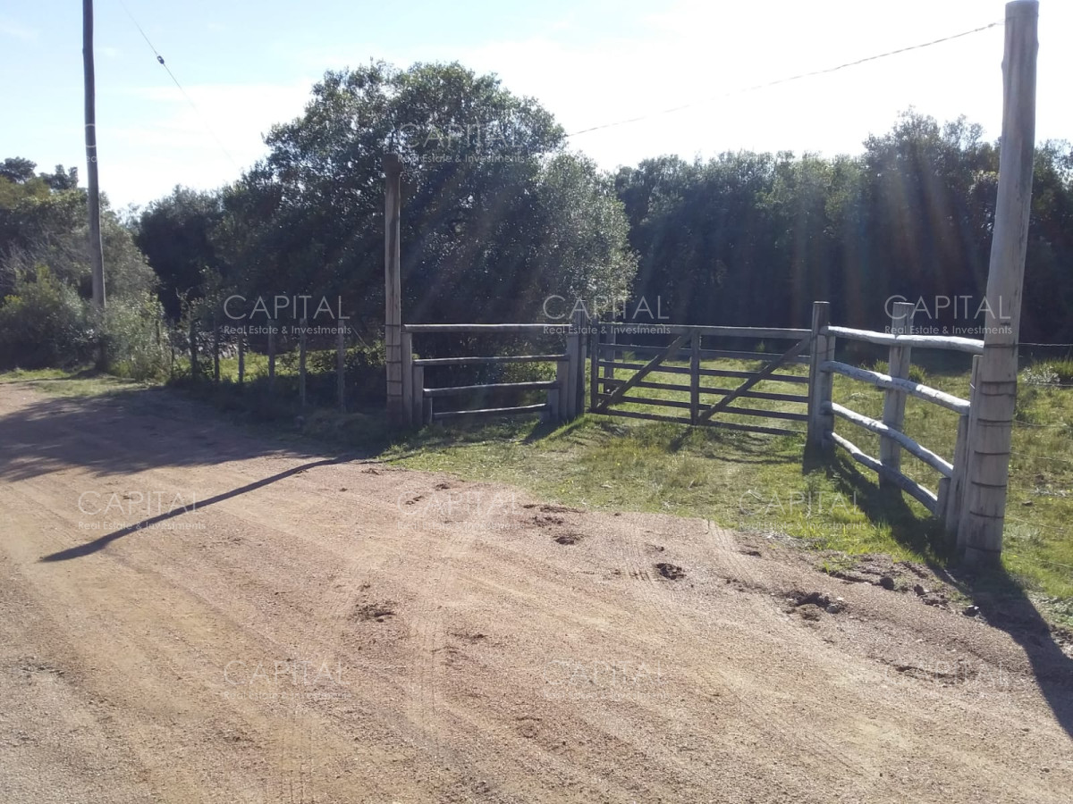 Chacra ID.31247 - Chacra en Ruta 39, en venta