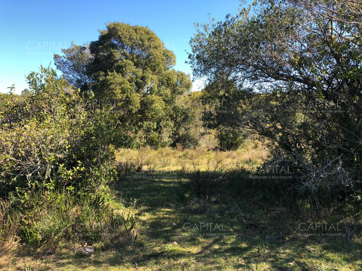 Chacra ID.31247 - Chacra en Ruta 39, en venta