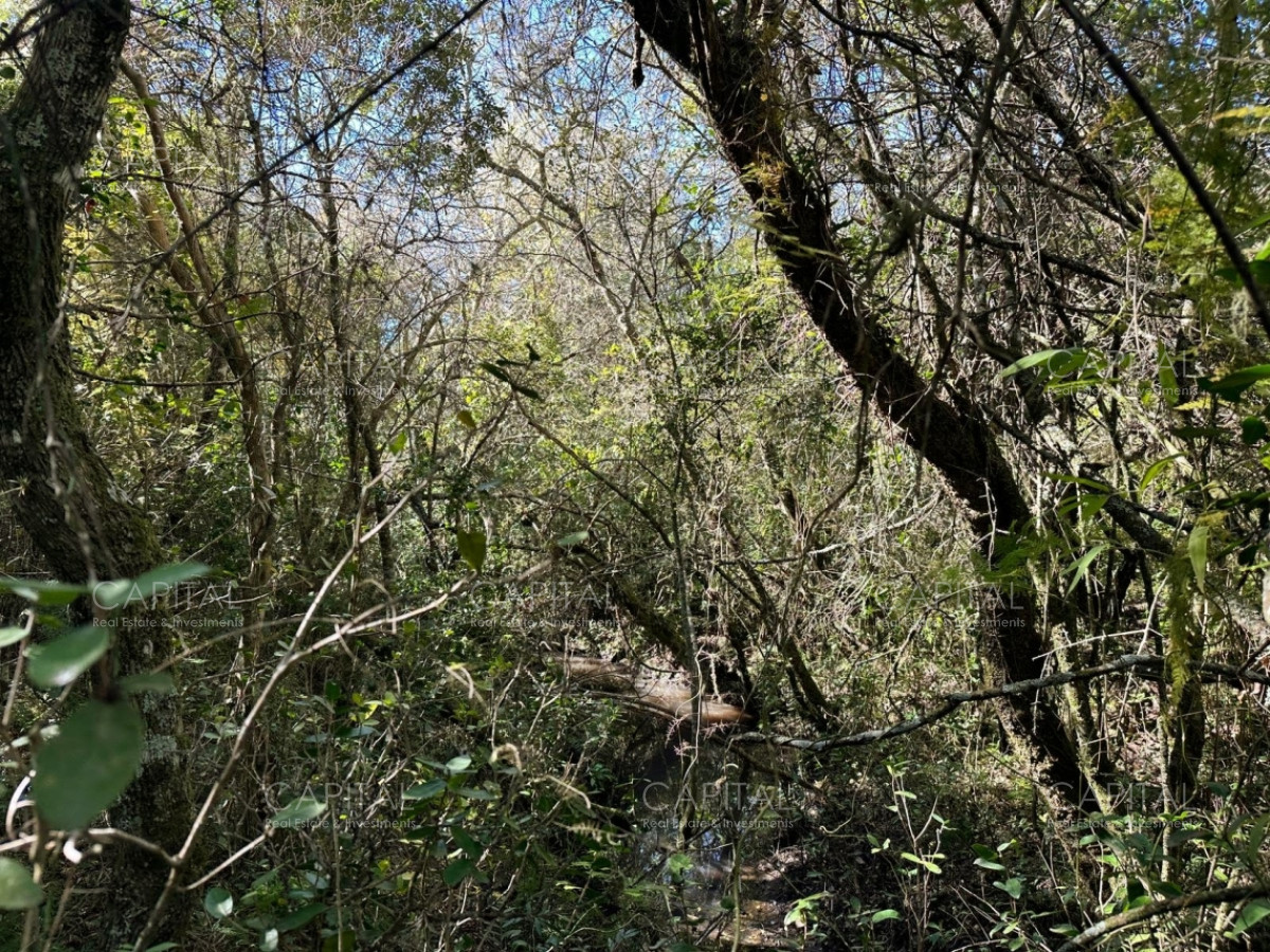 Chacra ID.38796 - Chacra próxima a Garzón 10 has 