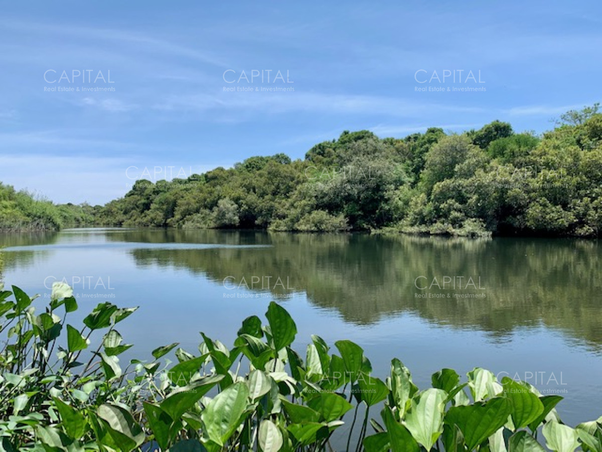 Chacra ID.28488 - Chacra con arroyo de casi 19 hectáreas disponible en Venta