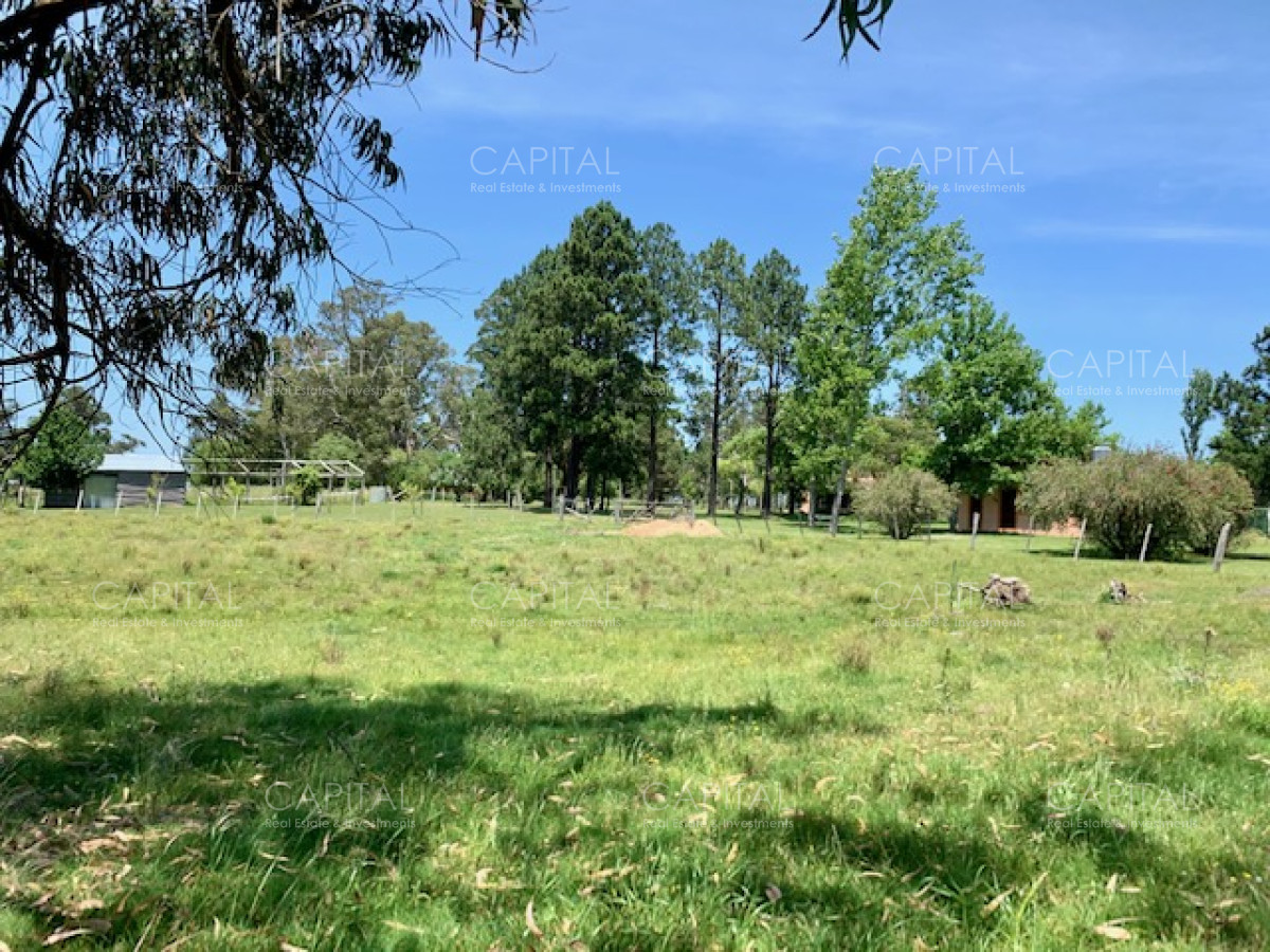 Chacra ID.28488 - Chacra con arroyo de casi 19 hectáreas disponible en Venta