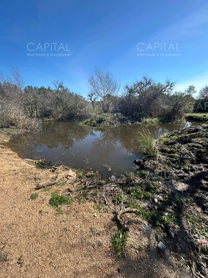 Chacra ID.35123 - Chacra con casa moderna en venta, Ruta 39. 