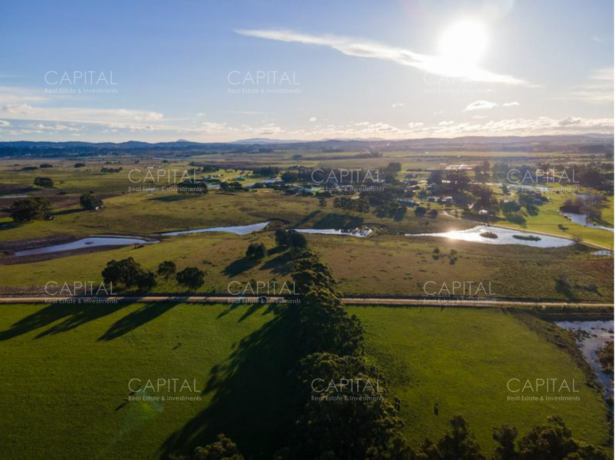 Chacra ID.37887 - Chacra en Venta - Naturaleza, Privacidad y Vistas Panorámicas en Cerro Egusquiza