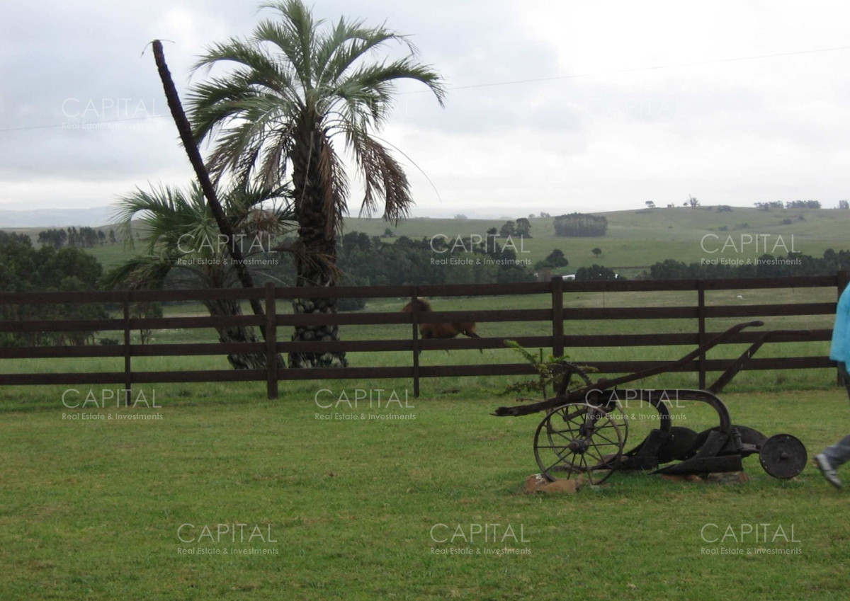 Chacra ID.35815 - La Peregrina Chacra En Venta