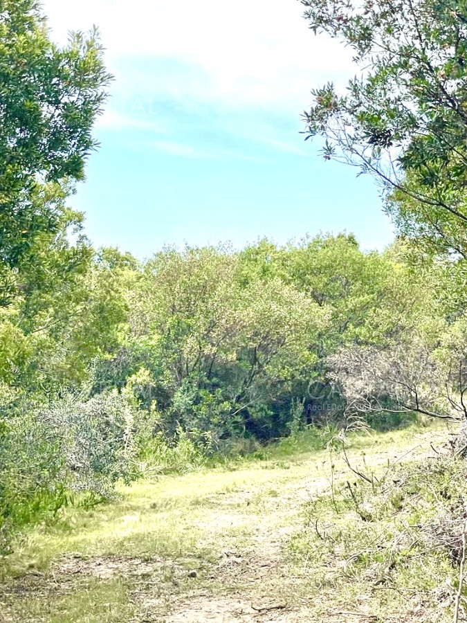 Chacra ID.37860 - Chacra en Venta de 5 hectáreas en Pueblo Garzon