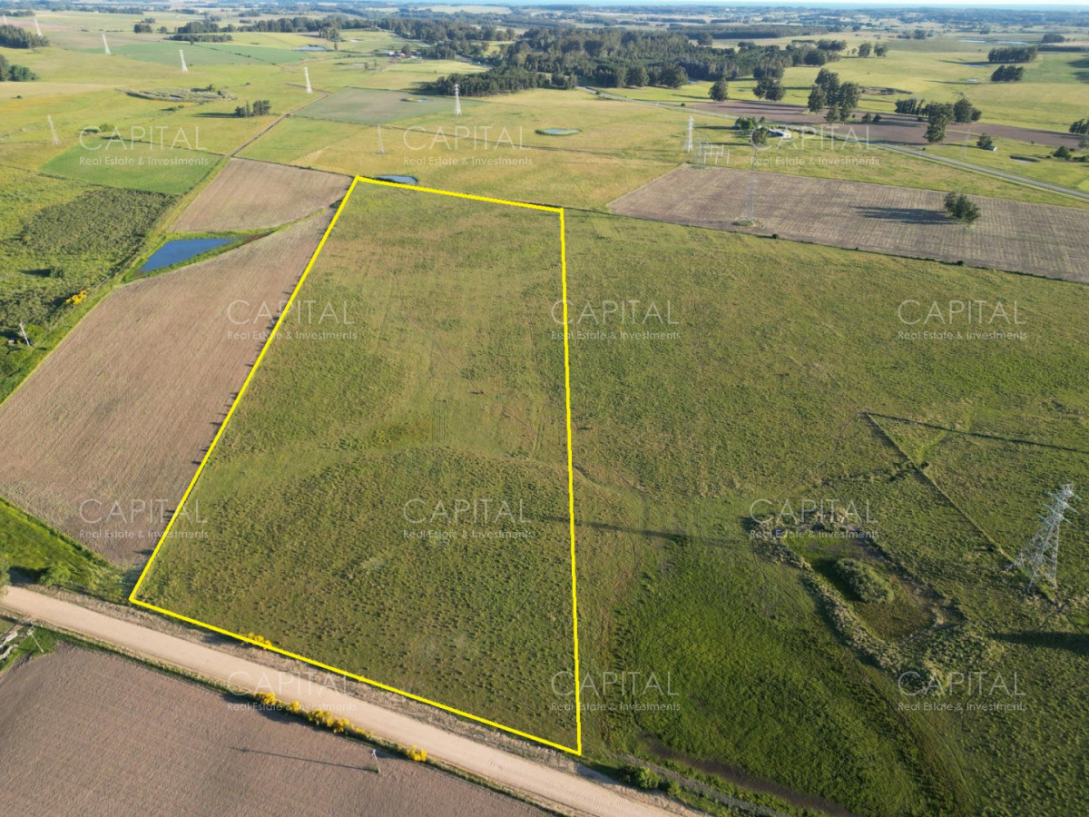 Chacra ID.39217 - Chacra de 7 has Cno. Borrás y ruta 104