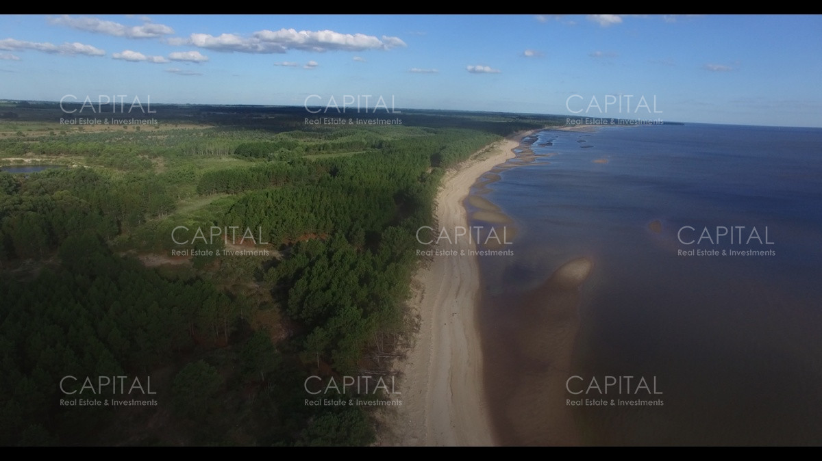 Chacra ID.29280 - Chacra con costa al Rio de La Plata