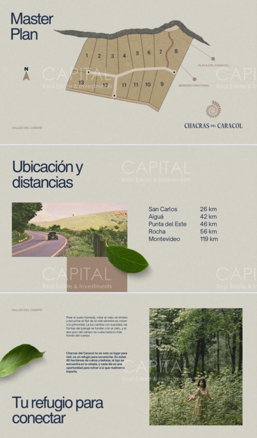 Chacra ID.38785 - Chacras de 3 has Sierra de los Caracoles 