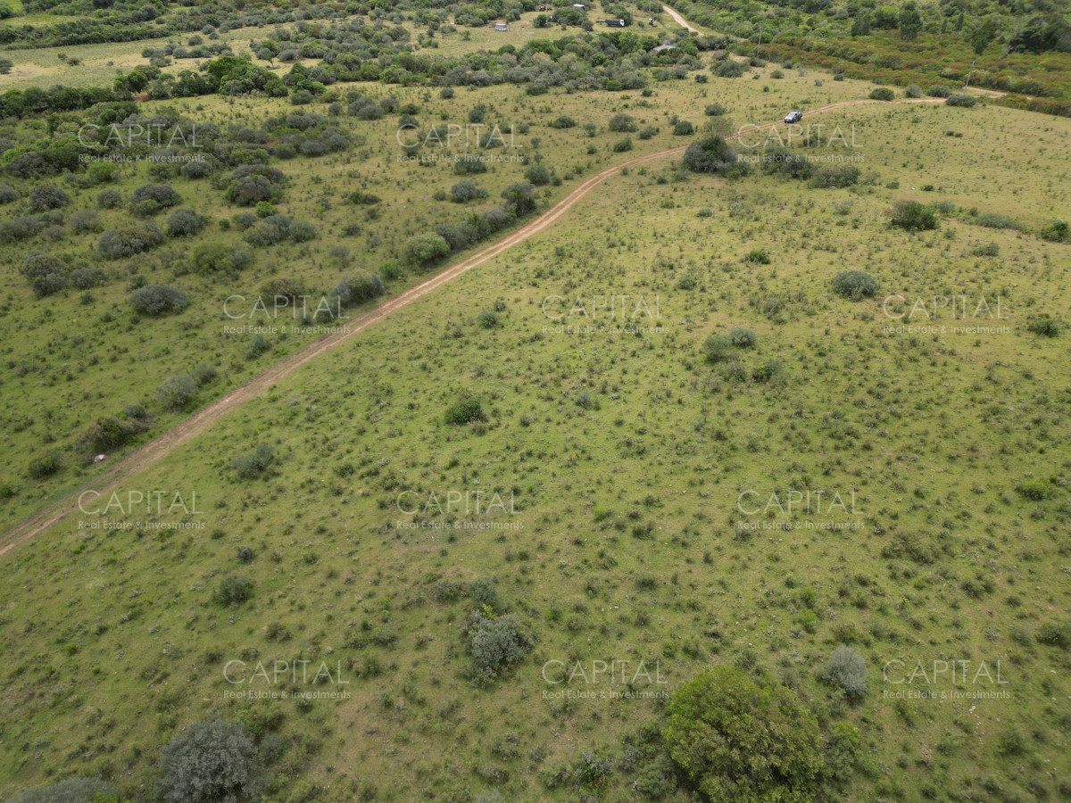 Chacra ID.37221 - Chacra en Pueblo Edén 8 has.