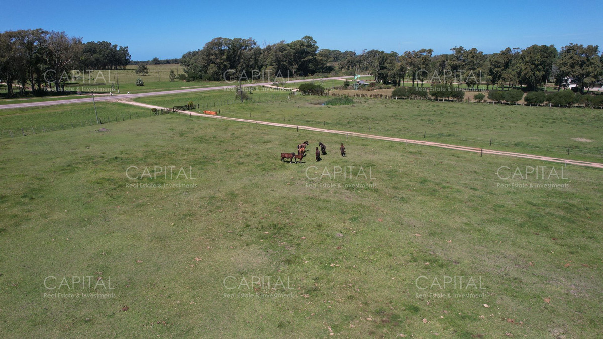 Chacra ID.36339 - Haras en Venta de  22has en La Coronilla, Rocha 