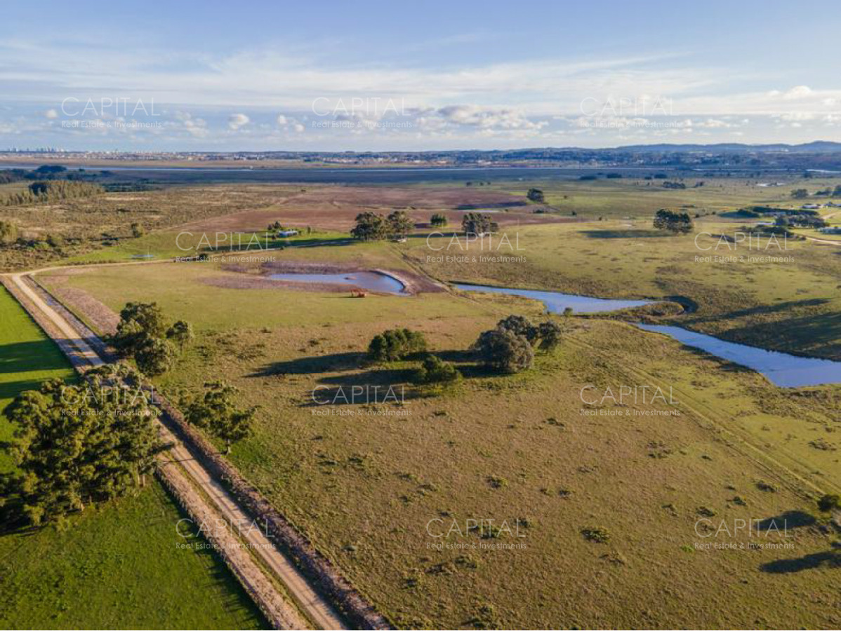 Chacra ID.37887 - Chacra en Venta - Naturaleza, Privacidad y Vistas Panorámicas en Cerro Egusquiza