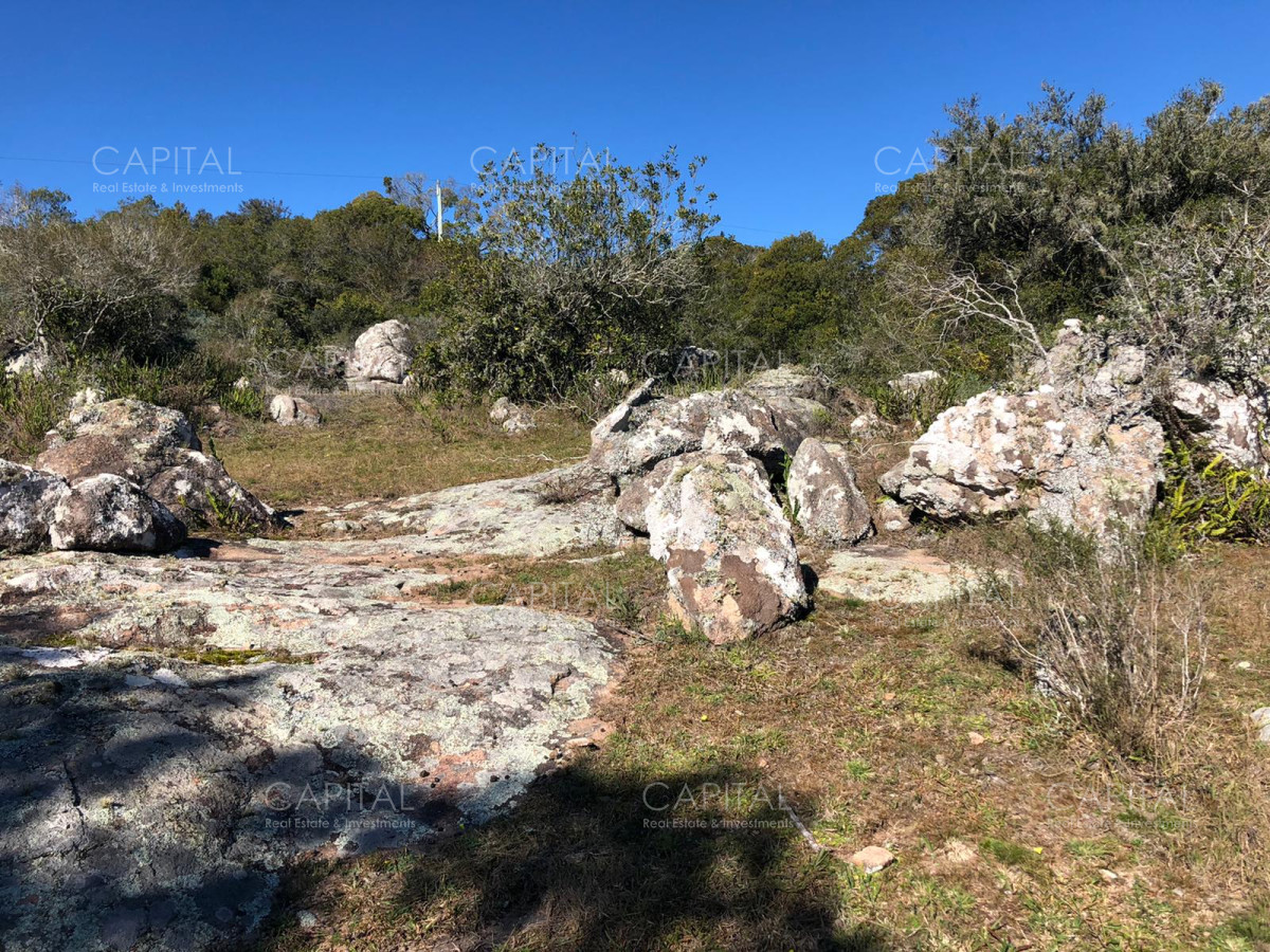 Chacra ID.31247 - Chacra en Ruta 39, en venta