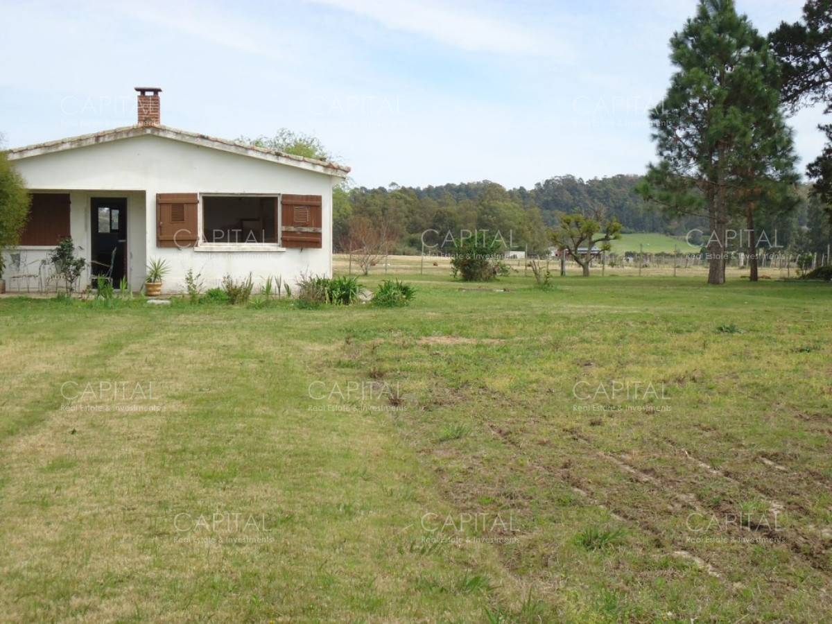 Chacra ID.27664 - Excelente Chacra en venta en zona de La Pataia