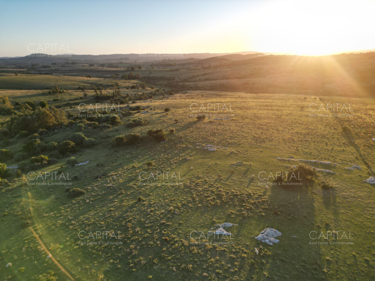 Chacra ID.38319 - Espectacular chacra de 17,5 has -Sierra de los Caracoles - Zona Mataojo