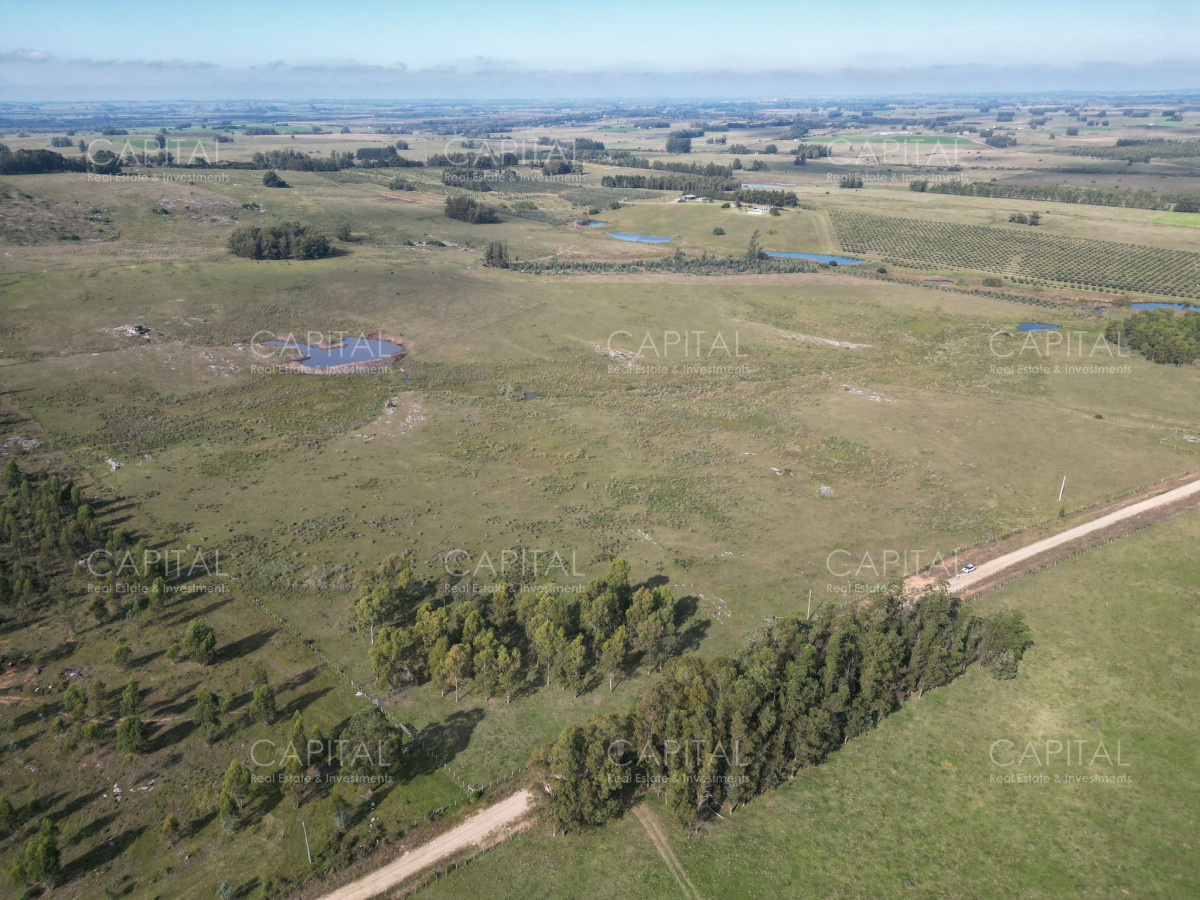 Chacra ID.38277 - Chacra 5 has - Sierra de los Caracoles
