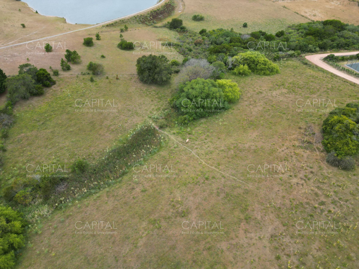 Chacra ID.39061 - Chacra de 5 Hectáreas, Las Portuguesas-José Ignacio 