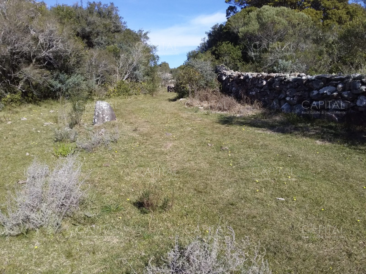 Chacra ID.31247 - Chacra en Ruta 39, en venta