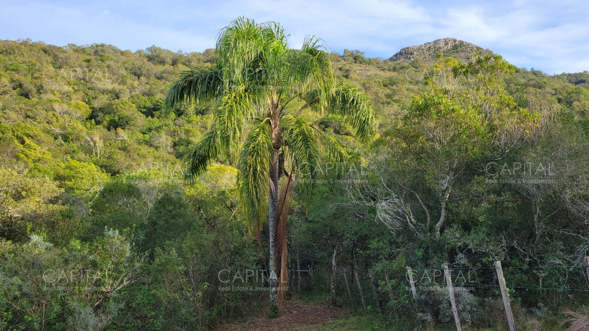 Chacra ID.35105 - Chacra en venta, Sierras de Maldonado - Uruguay