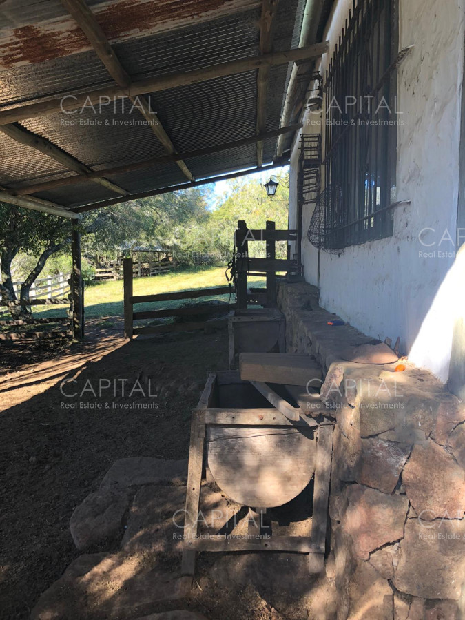 Chacra ID.31247 - Chacra en Ruta 39, en venta