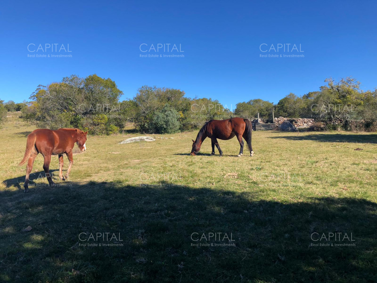 Chacra ID.31247 - Chacra en Ruta 39, en venta