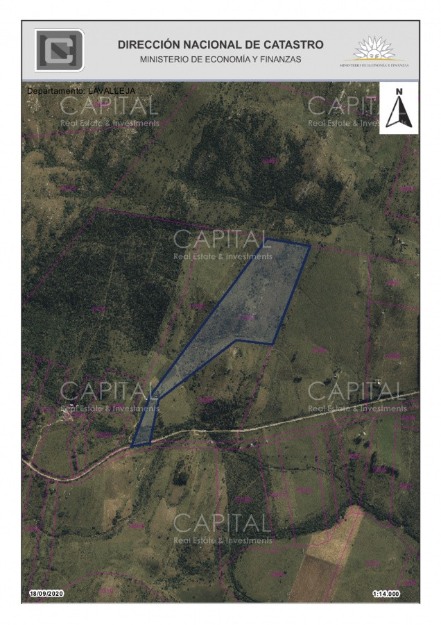 Chacra ID.29901 - Campo de 39 hectareas en venta en Aiguá