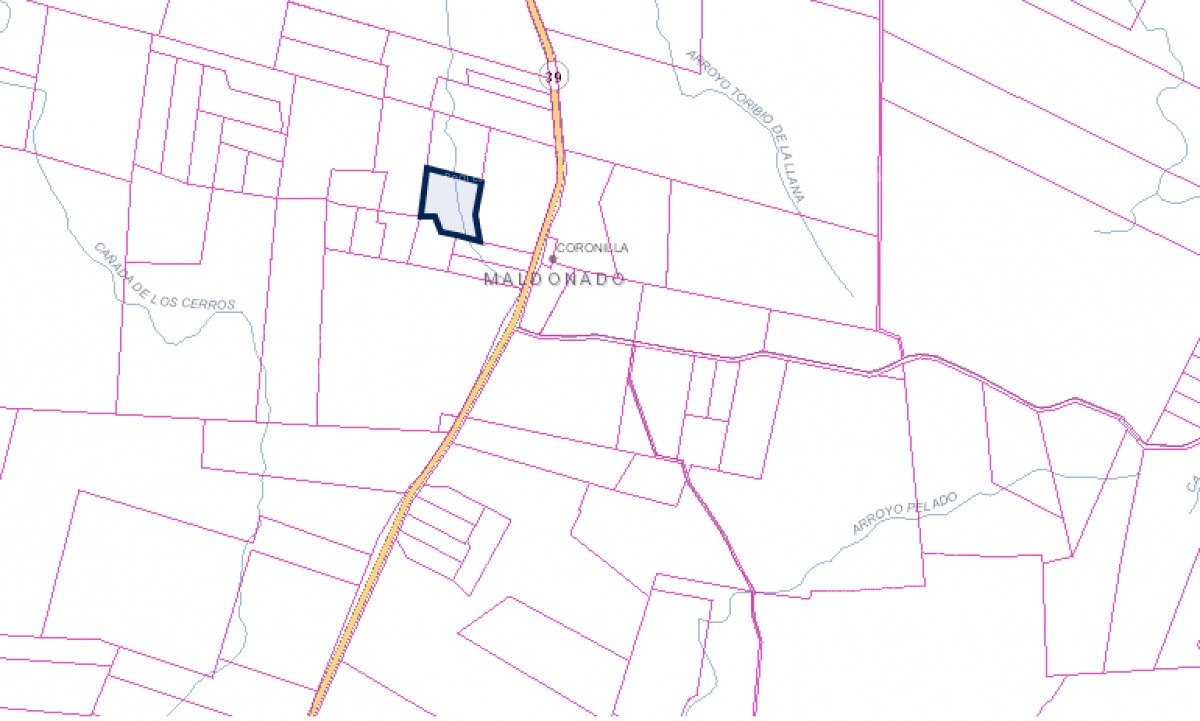 Chacra ID.31247 - Chacra en Ruta 39, en venta