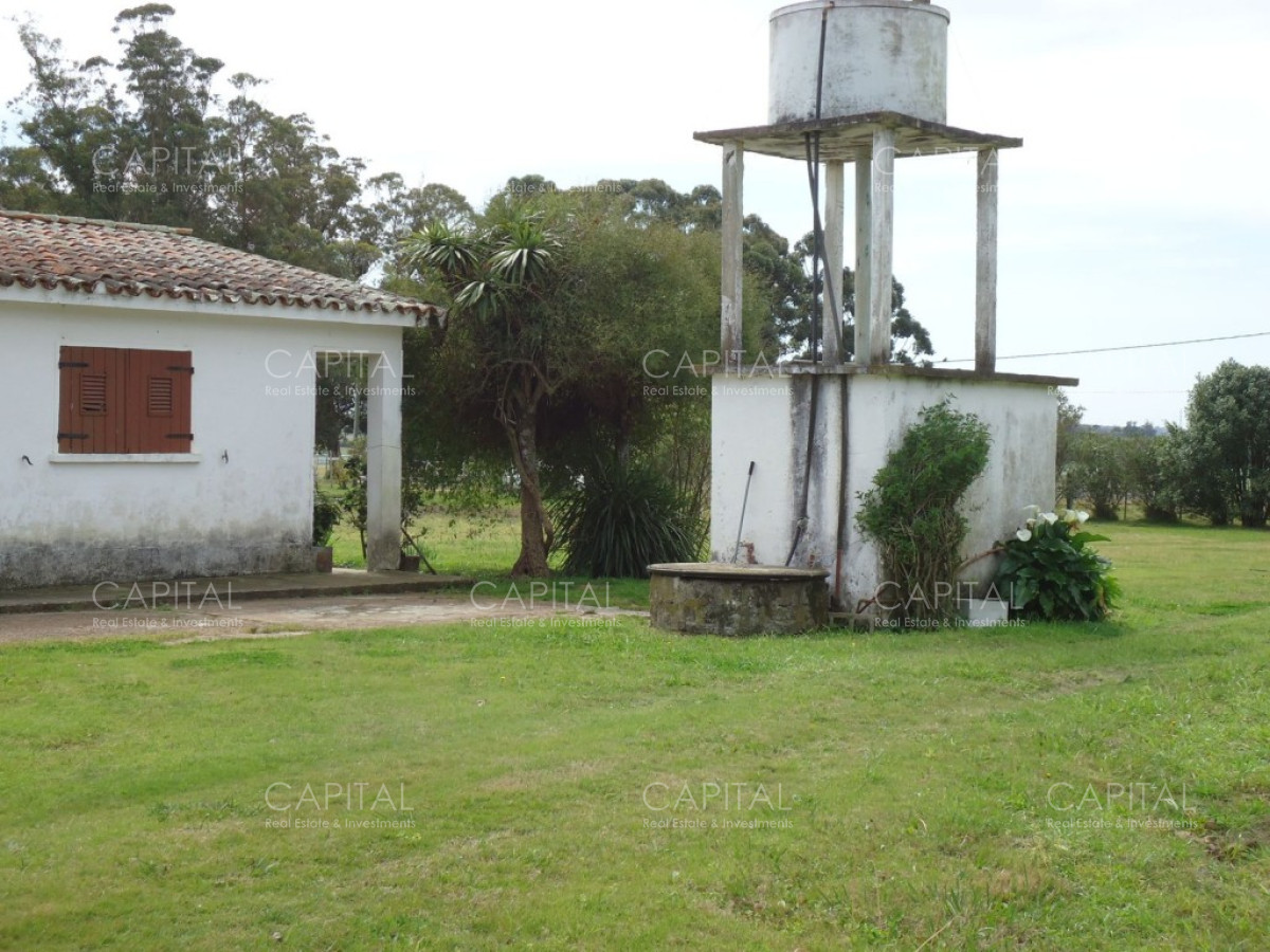 Chacra ID.27664 - Excelente Chacra en venta en zona de La Pataia