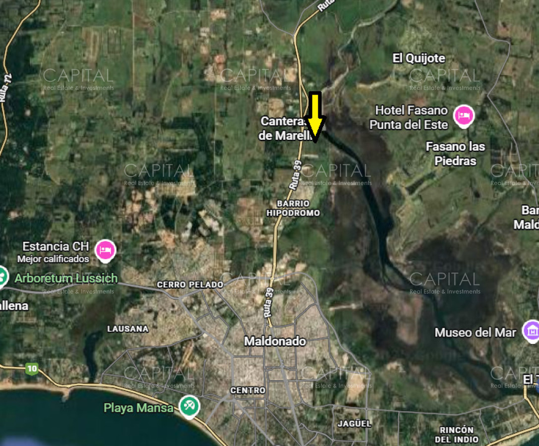 Chacra ID.39461 - Chacra de 41 has sobre ruta 39 