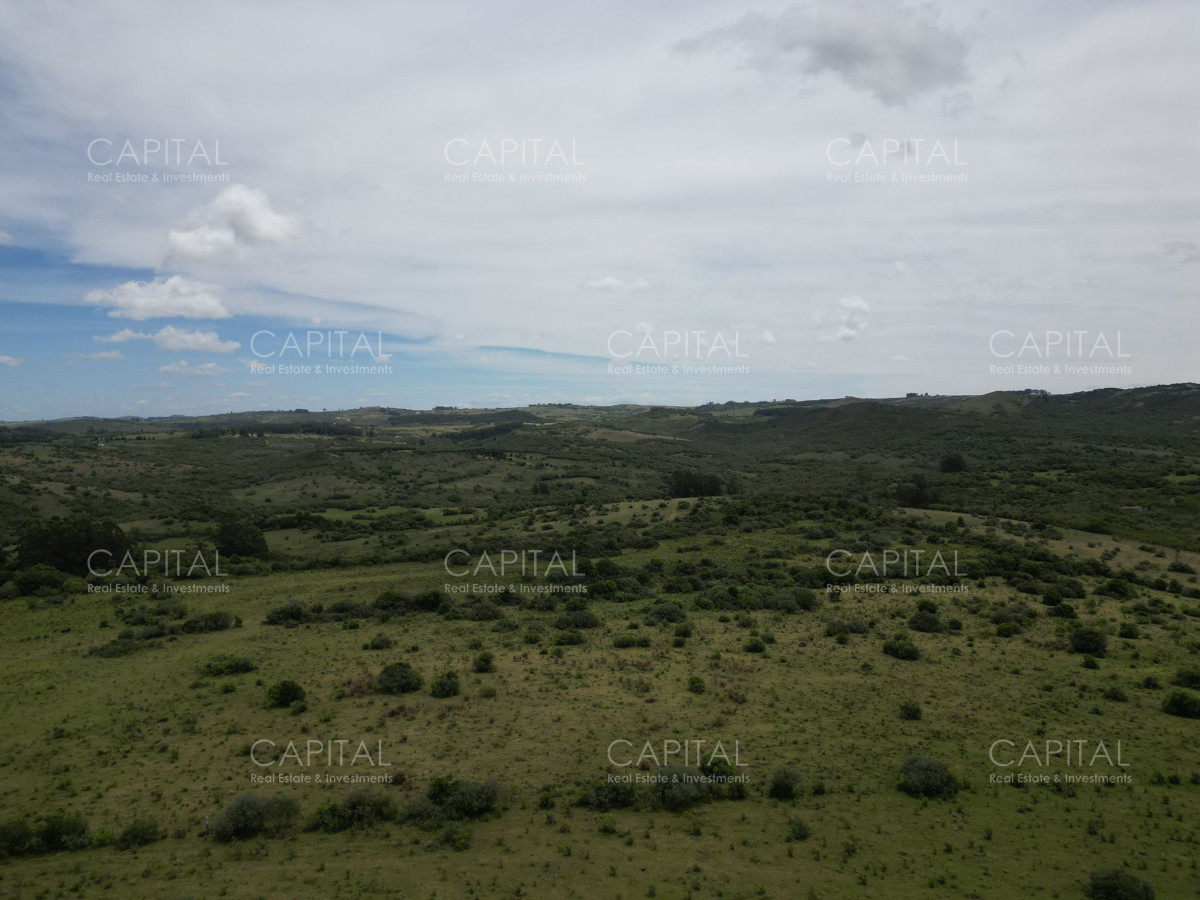 Chacra ID.37221 - Chacra en Pueblo Edén 8 has.