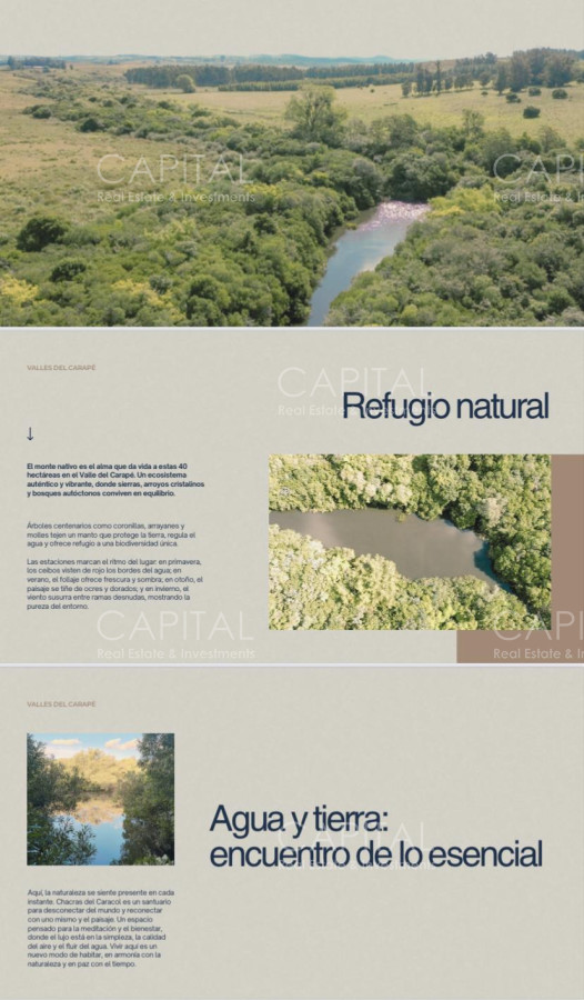 Chacra ID.38785 - Chacras de 3 has Sierra de los Caracoles 