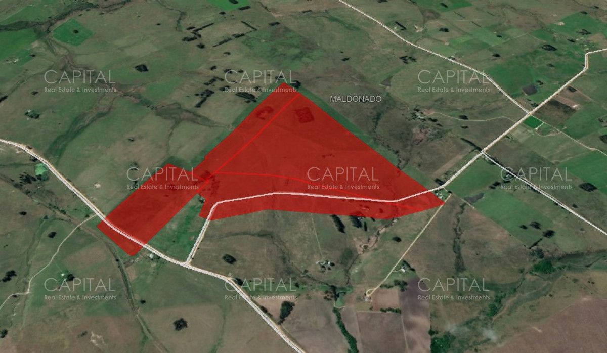 Chacra ID.29191 - Excelente Chacra en venta - Ruta 9