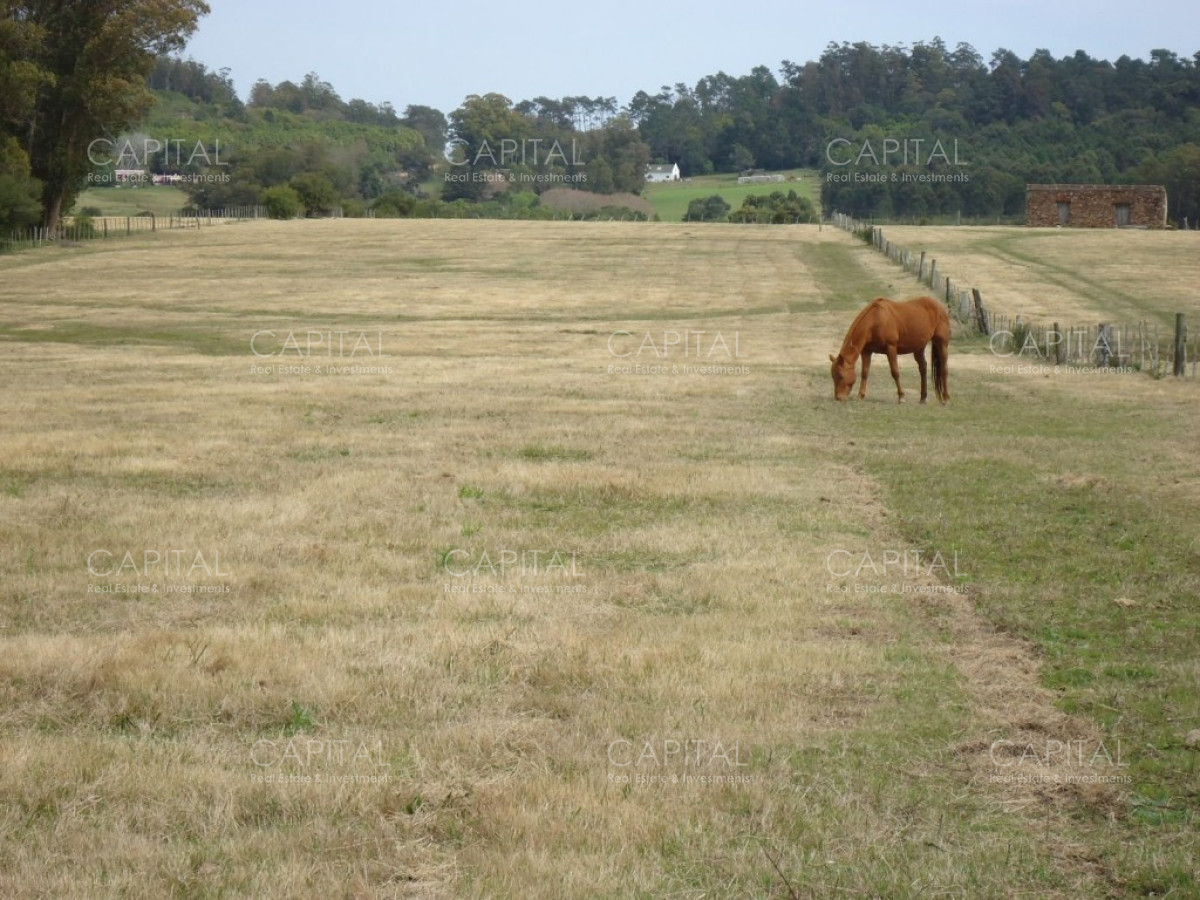 Chacra ID.27664 - Excelente Chacra en venta en zona de La Pataia