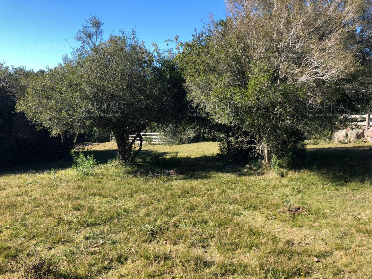 Chacra ID.31247 - Chacra en Ruta 39, en venta