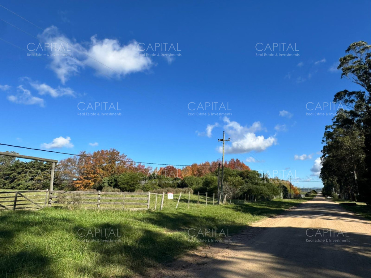 Chacra ID.40177 - Venta Chacra 3 Hectareas en La Barra