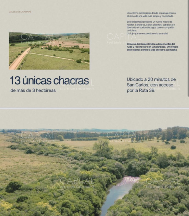 Chacra ID.38785 - Chacras de 3 has Sierra de los Caracoles 