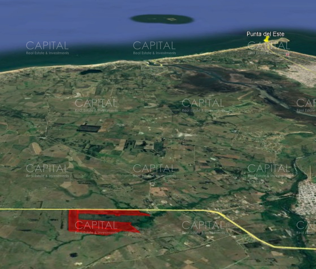 Chacra ID.30676 - Excelente Chacra en Venta - Ruta 9 