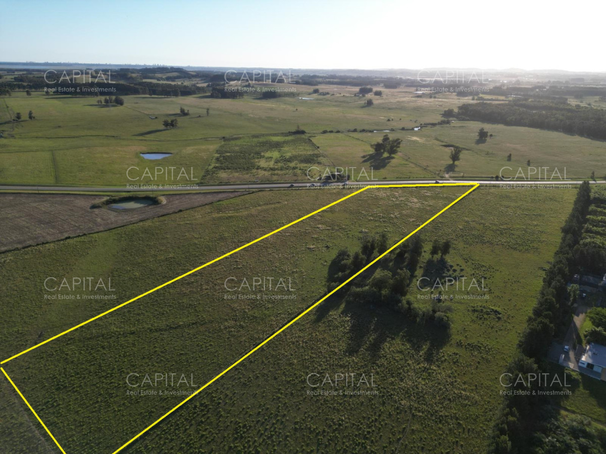Chacra ID.39215 - Chacra de 5 has sobre ruta 104 próximo a MACA ,Pueblo Mío, NARBONA La Plantación