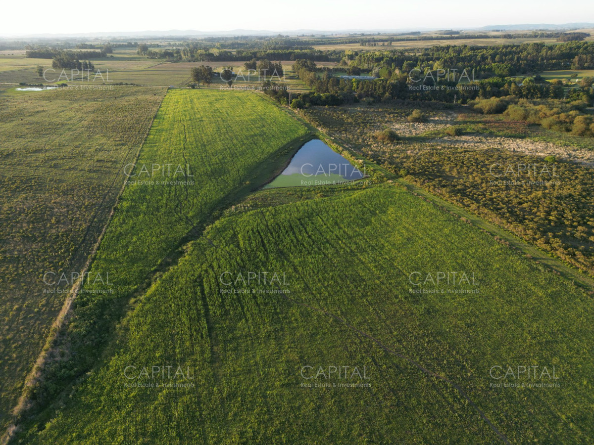 Chacra ID.37898 - Chacra de 11 has a metros de ruta 104