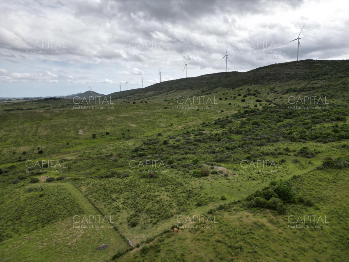 Chacra ID.37213 - Chacras Sierras de caracoles a 30 min de Punta del Este