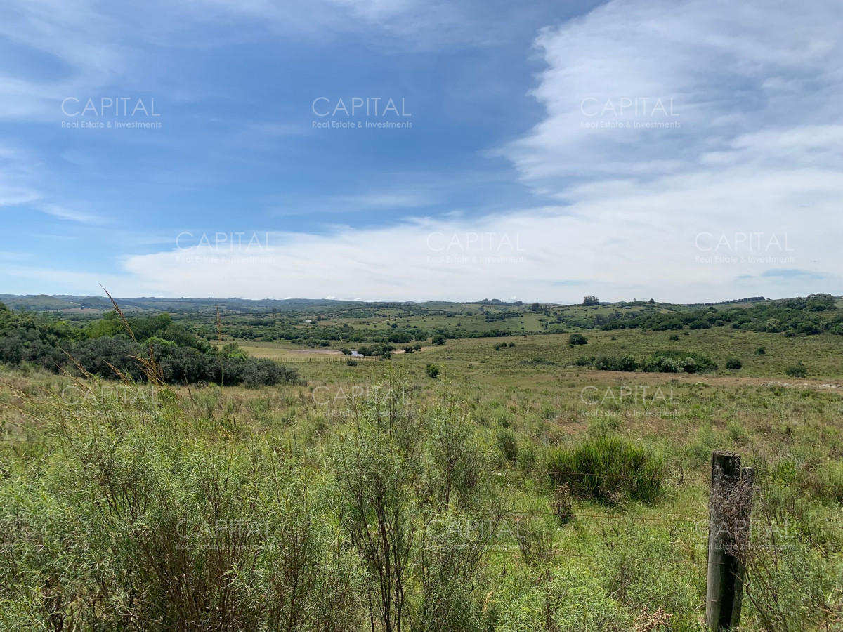 Chacra ID.37346 - Chacra 5 has Pueblo Edén 