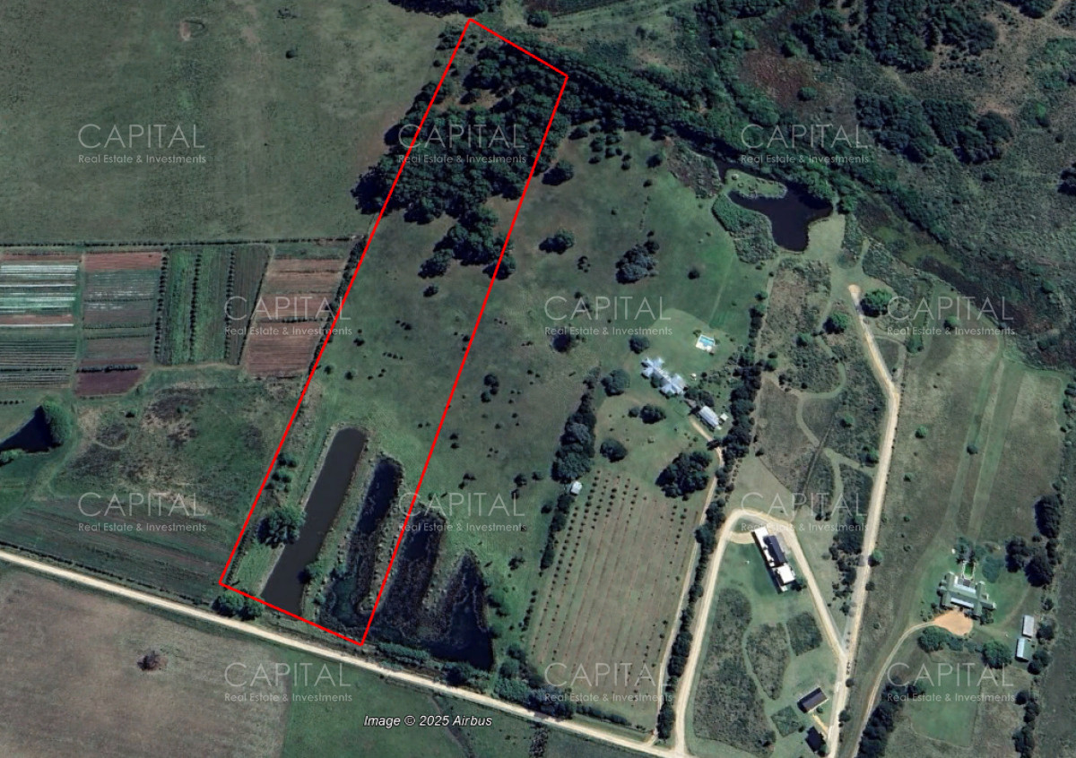 Chacra ID.38836 - Chacra de 5 has sobre ruta 104 próximo a MACA ,Pueblo Mío, NARBONA La Plantación  