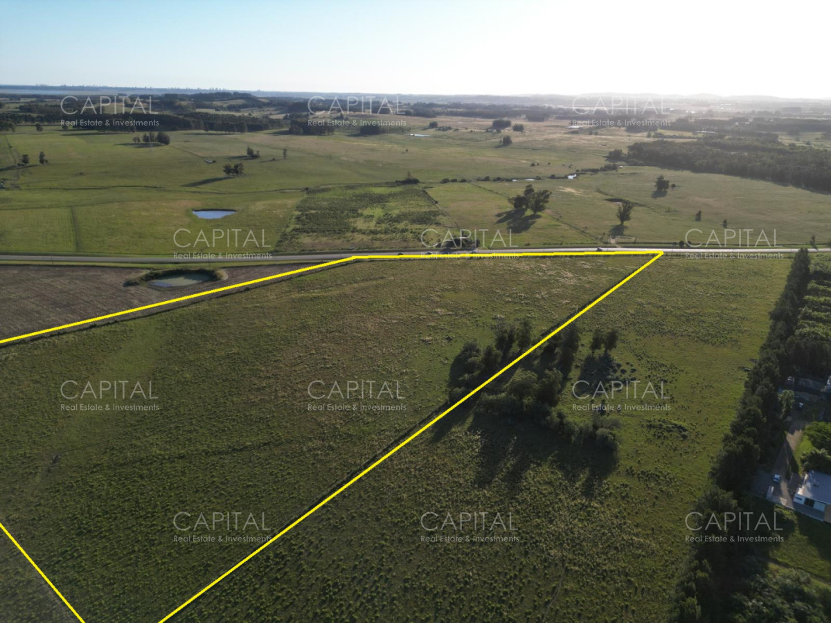 Chacra ID.39220 - Chacra de 10 has sobre ruta 104 !!