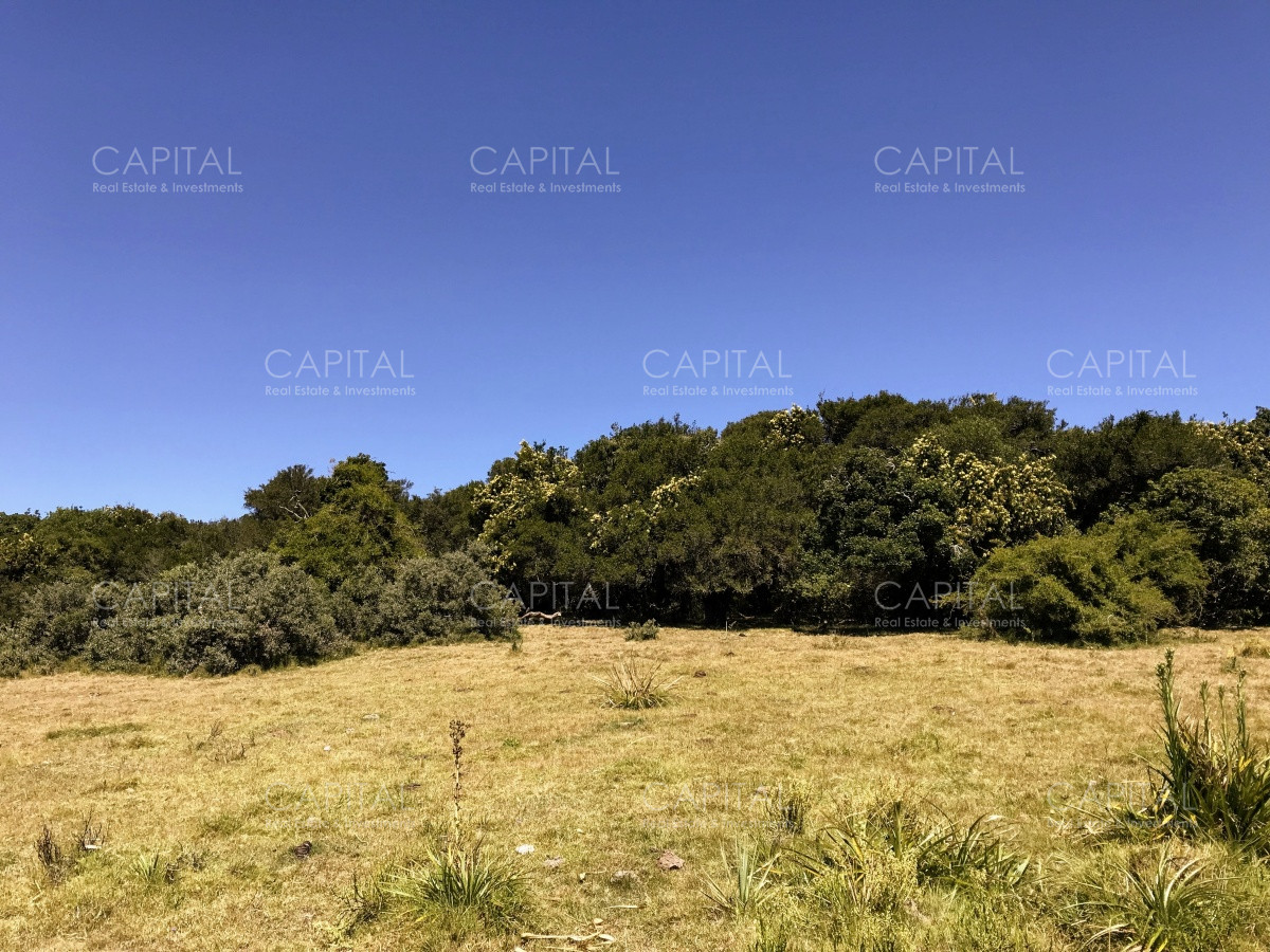 Chacra ID.29940 - Chacra en El Caracol - Garzon 108 Has, en venta